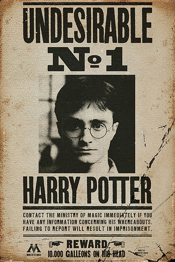 Harry Potter Poster Undesirable No. 1 - Image 6